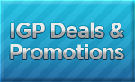 November Deals & Promotions