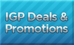 December Deals and Promotions
