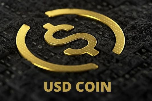 PokerOK added USDC stablecoin as a payment method